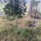 wf_versam_birchegga_fs-1.5_2023.jpg