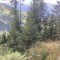 wf_versam_birchegga_fs-2.2_2023.jpg