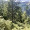wf_versam_birchegga_fs-2.3_2023.jpg
