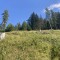 wf_versam_birchegga_fs-3.1_2023.jpg