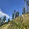 wf_versam_birchegga_fs-3.2_2023.jpg
