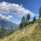 wf_versam_birchegga_fs-3.3_2023.jpg