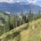 wf_versam_birchegga_fs-3.4_2023.jpg