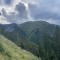 wf_versam_birchegga_fs-4.1_2023.jpg