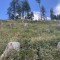 wf_versam_birchegga_fs-4.3_2021.jpg