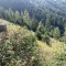 wf_versam_birchegga_fs-5.2_2023.jpg
