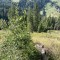 wf_versam_birchegga_fs-5.3_2023.jpg