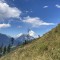 wf_versam_birchegga_fs-5.5_2023.jpg