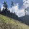 wf_versam_birchegga_fs-5.8_2023.jpg