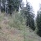 wf_chafuorns_fst_1_nr_07.jpg