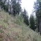 wf_chafuorns_fst_1_nr_07a.jpg