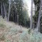 wf_chafuorns_fst_1_nr_08.jpg
