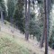 wf_chafuorns_fst_2_nr_16-1777358149.jpg