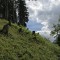 img_4952.jpg