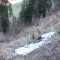 wf_suraua_sorts_fs-3.1_2018.jpg