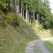 20231019_duerrenwald_07.jpg