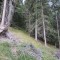 wf_bos-chagrischa_fst_1_nr_06.jpg