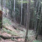 20121004_haselwald_f02_be_04.jpg