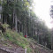 20121004_haselwald_f08_be_14.jpg