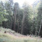 20121004_haselwald_f09_be_20.jpg