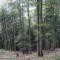 20121004_haselwald_f10_be_24.jpg
