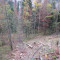 talwald16.10.08_23neu.jpg