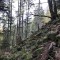 wf_poschiavo_i-cole03.jpg