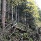 wf_poschiavo_i-cole06.jpg
