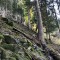 wf_poschiavo_i-cole14.jpg