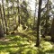 20200625_103434.jpg
