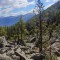 20200625_103543.jpg