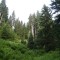 wf_ladir_con-da-cauras_fs-2.4_2013.jpg