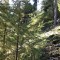 wf_poschiavo_suaser11.jpg