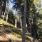 wf_poschiavo_suaser14.jpg