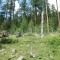 resgia_bever_-(3).jpg