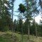 resgia_bever_-(6).jpg