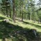 resgia_bever_-(8).jpg