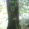 fotostandort-3.jpg
