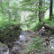 20120806_talwald_12.jpg