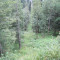 20120806_talwald_23.jpg