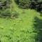 wf_ladir_las-vals_fs-2.1_2013.jpg