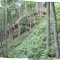 20070625_wf-gruenenwald_2a.jpg