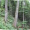 20070625_wf-gruenenwald_3a.jpg