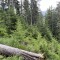 img_5772.jpg