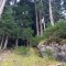 wf6_23.jpg