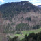 gridwald-ubersicht-2009.jpg
