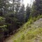 20200625_154222.jpg