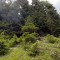 20200625_154229.jpg