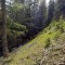 20200625_154253.jpg