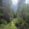 wf_ladir_las-vals_fs-1.1_2018.jpg